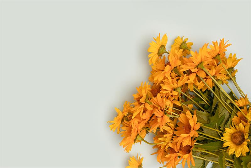 Árnika krém: természetes segítség a mozgásszervi panaszokra