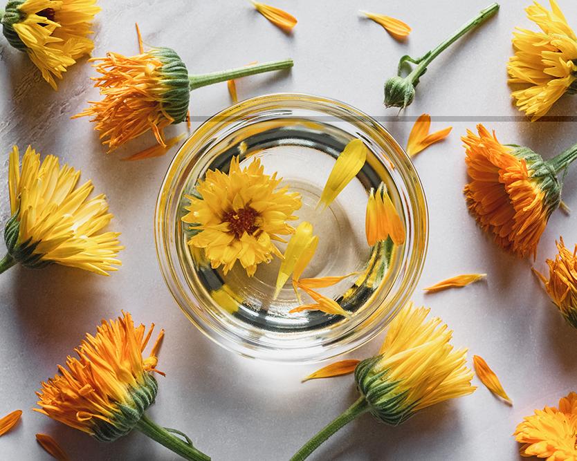 Körömvirág krém: a természetes bőrápolás királynője