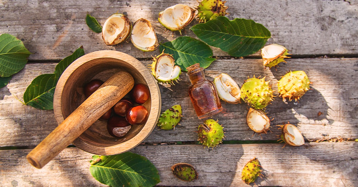 A vadgesztenye krém hatása: mi mindenre jó ez a növény?