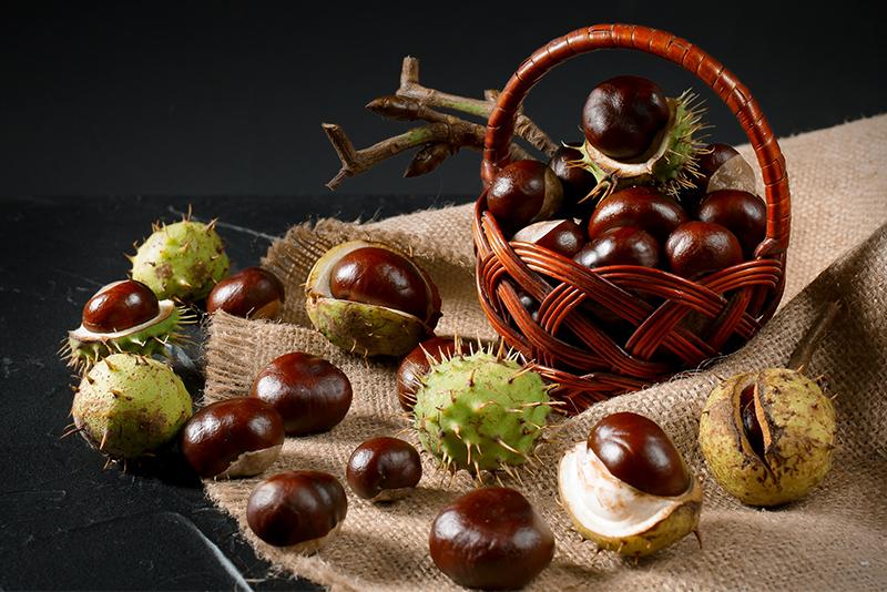 Vadgesztenyés krém: 5 érv, hogy miért ezt válaszd a fáradt lábak felfrissítésére